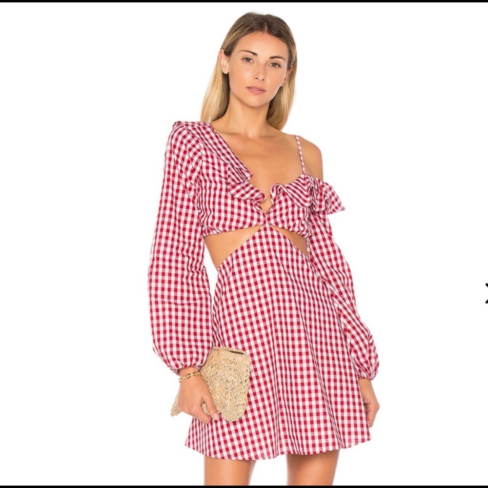 Lovers + Friends X REVOLVE Love Bliss Mini Dress in Red Gingham